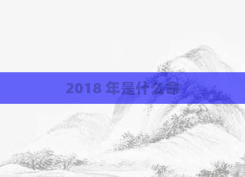 2018 年是什么命