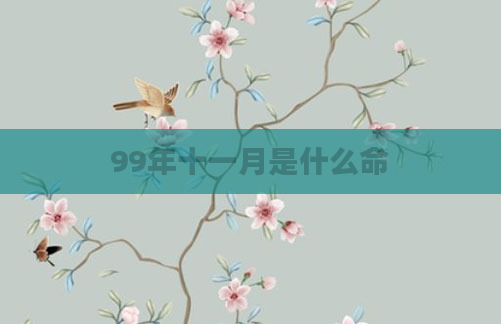 99年十一月是什么命