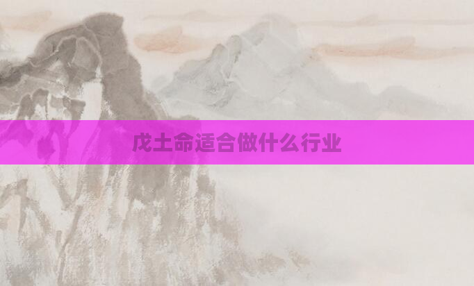 戊土命适合做什么行业