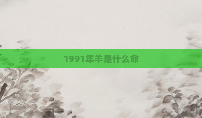 1991年羊是什么命