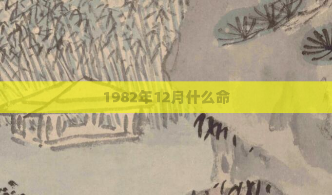 1982年12月什么命