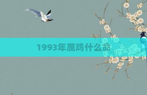 1993年属鸡什么命