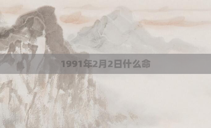 1991年2月2日什么命