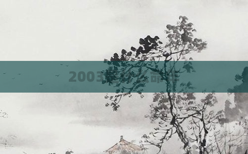 2003是什么命年