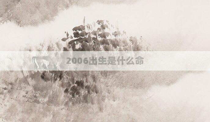 2006出生是什么命