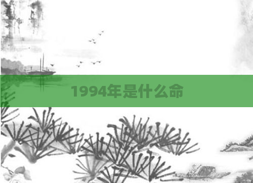 1994年是什么命