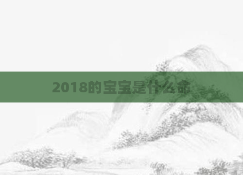 2018的宝宝是什么命