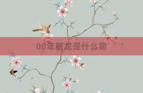 00年属龙是什么命