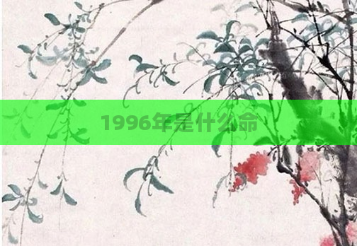 1996年是什么命