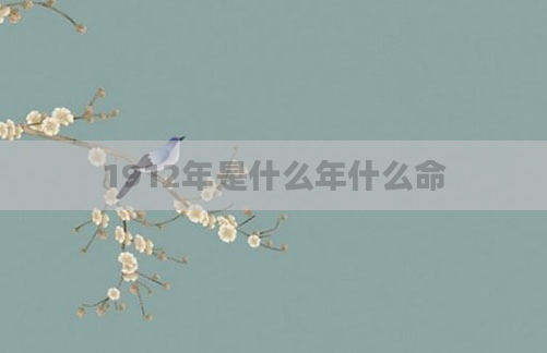 1912年是什么年什么命