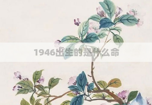 1946出生的是什么命