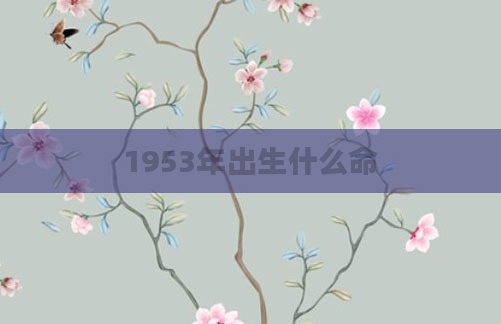 1953年出生什么命