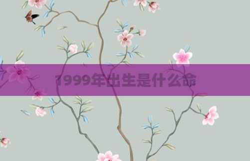 1999年出生是什么命