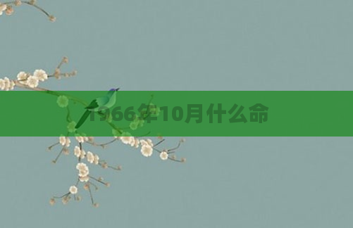 1966年10月什么命