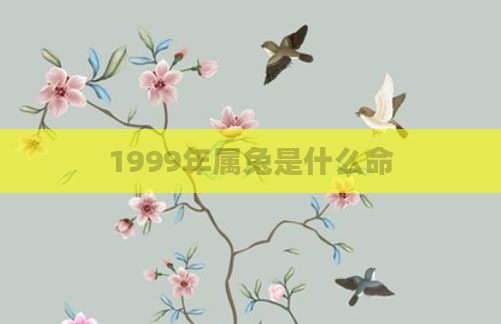 1999年属兔是什么命