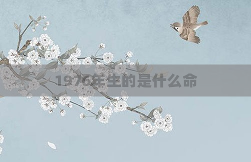 1976年生的是什么命