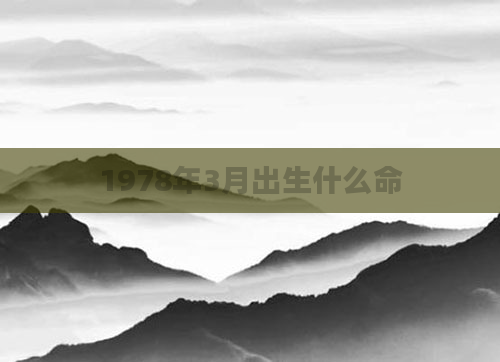 1978年3月出生什么命