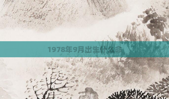 1978年9月出生什么命