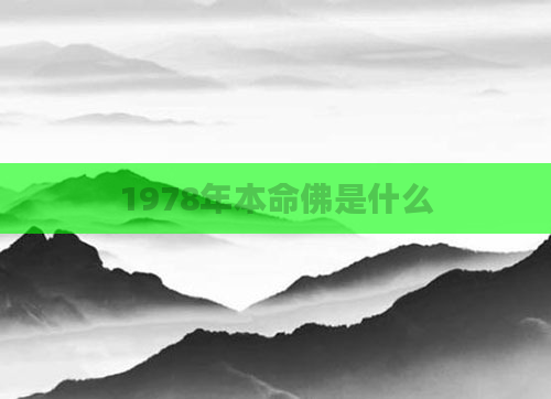 1978年本命佛是什么