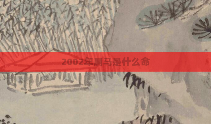 2002年属马是什么命