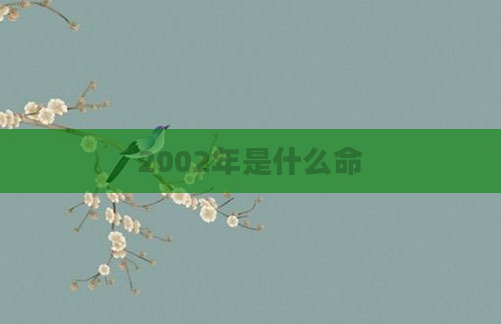 2002年是什么命