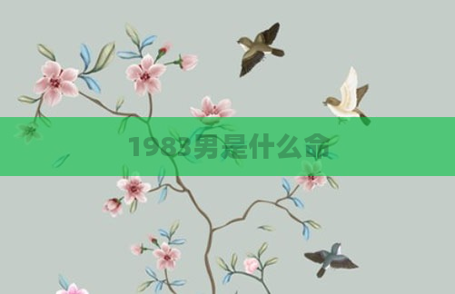 1983男是什么命
