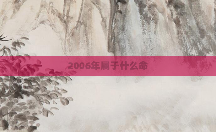 2006年属于什么命