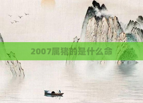 2007属猪的是什么命