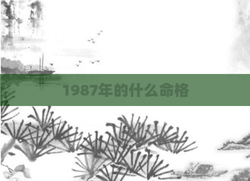 1987年的什么命格