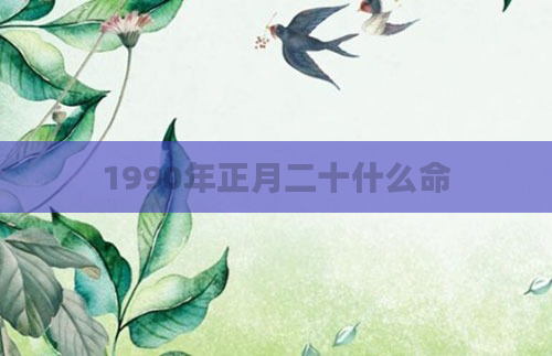 1990年正月二十什么命