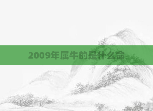 2009年属牛的是什么命