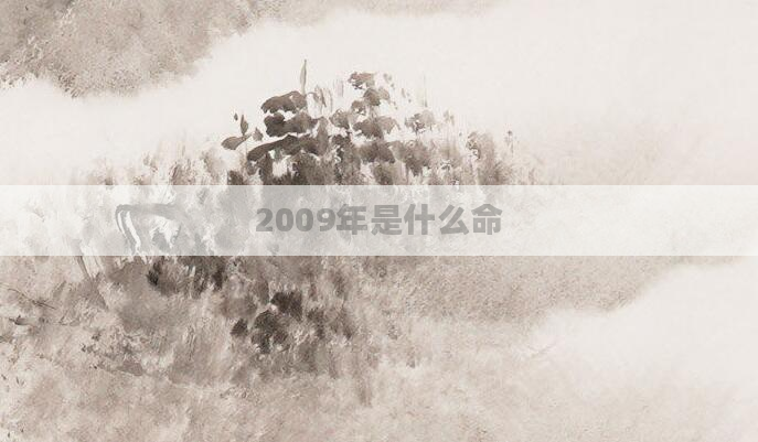 2009年是什么命