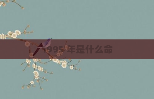 1995 年是什么命