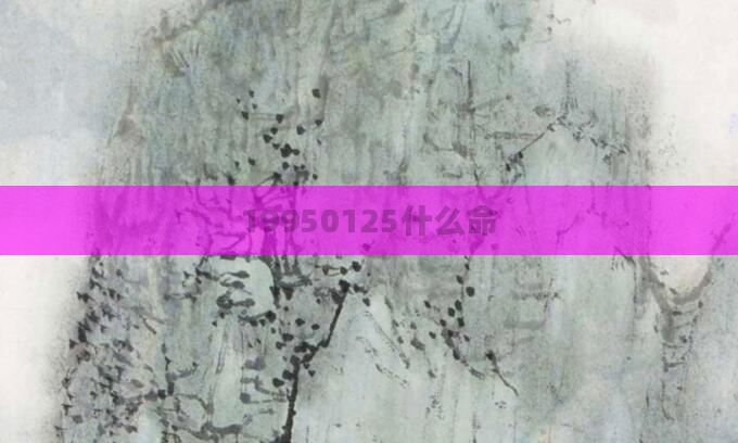 19950125什么命