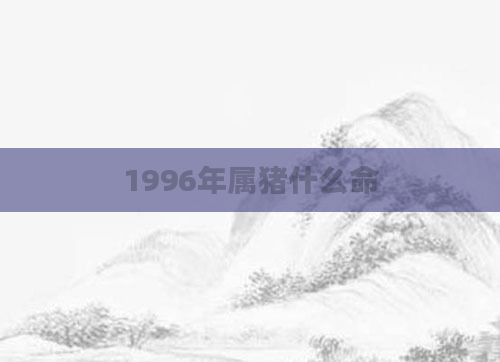 1996年属猪什么命