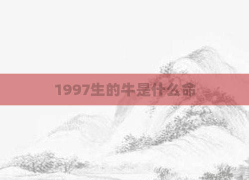 1997生的牛是什么命