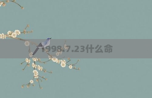 1998.7.23什么命